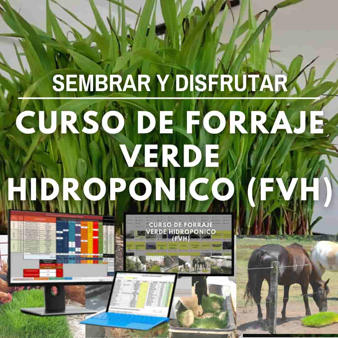Ebooks Orquideas BONOS