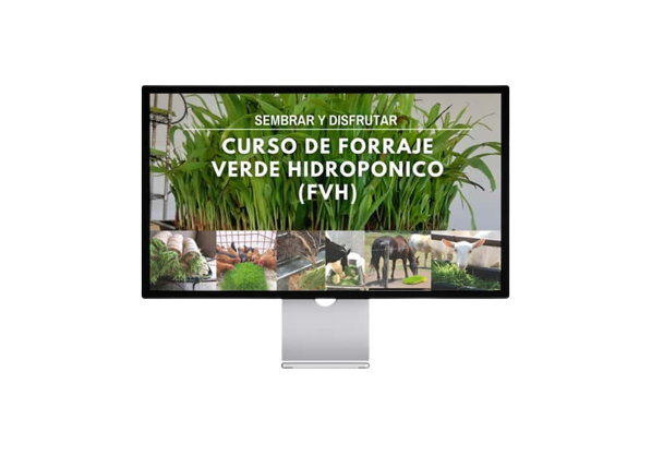 smartmockups_l5z5wdcs__1_-removebg-preview